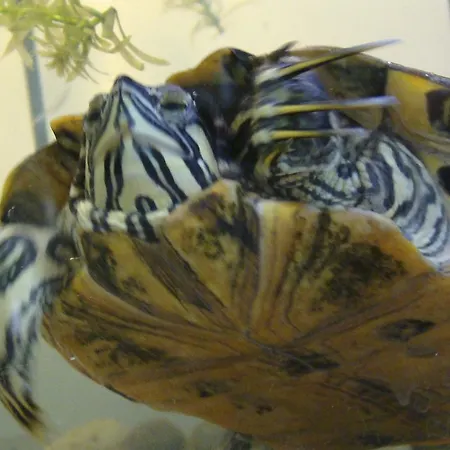 3be Backpackers Bed & Breakfast * Eindhoven