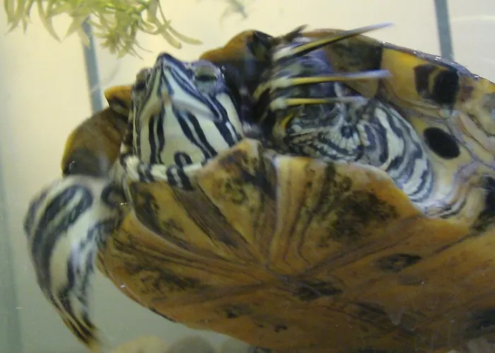 3be Backpackers Bed & Breakfast * Eindhoven